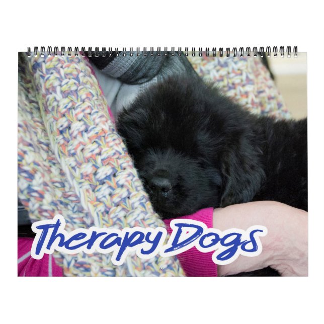 Calendario de Perros Terapéuticos Notta Bear Newfo (Tapa)