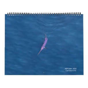 Calendario de pez espada 2026