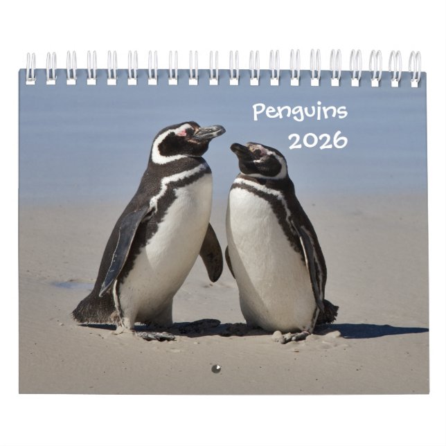Calendario de pingüinos (Tapa)