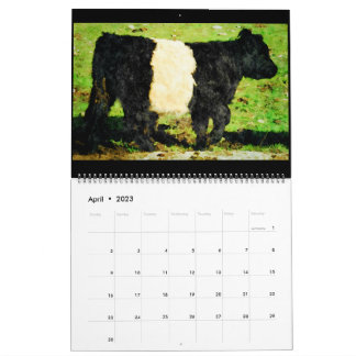 Calendario de pintura de acuarela de vacas gallowa