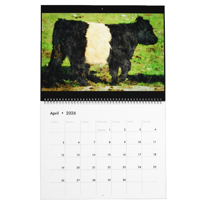 Calendario de pintura de acuarela de vacas gallowa (Apr 2026)