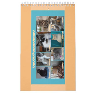 Calendario de PipersPuddycats 2020