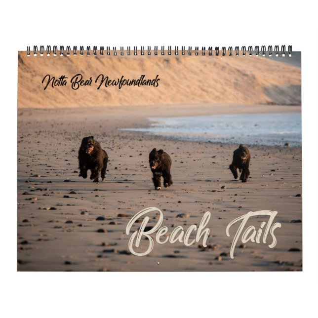 Calendario de playa de Notta Bear Newfounlands Ore (Tapa)