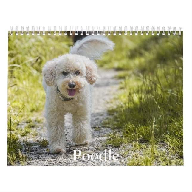 Calendario de podología (Tapa)