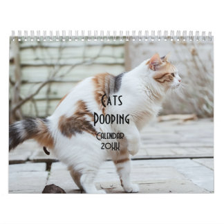 Calendario de podoping gatos 2026