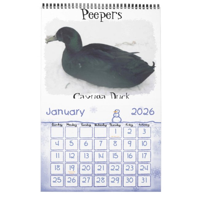 Calendario de pollo (Jan 2026)