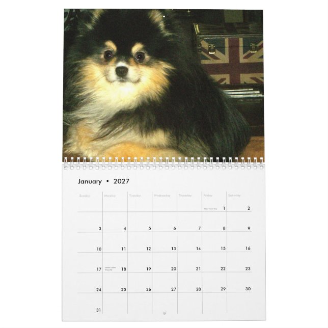Calendario de Pomeranian (Jan 2027)