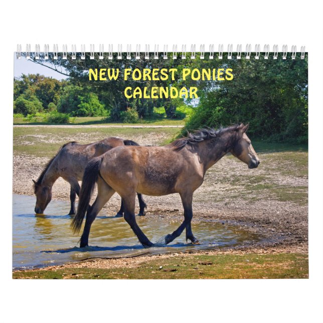 Calendario de Ponis del Nuevo Bosque (Tapa)
