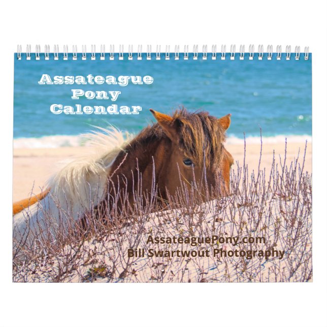 Calendario de Pony de Assateague (Tapa)