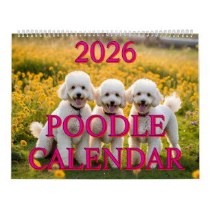 CALENDARIO DE POODLE DE 2026