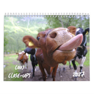 Calendario de Primeros Planos de Vacas 2027