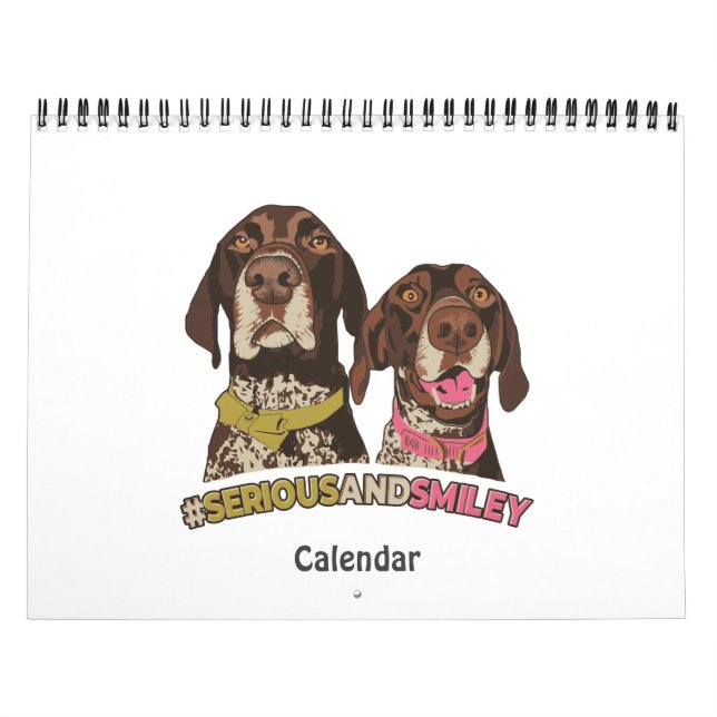 Calendario de problemas de puntero (Tapa)