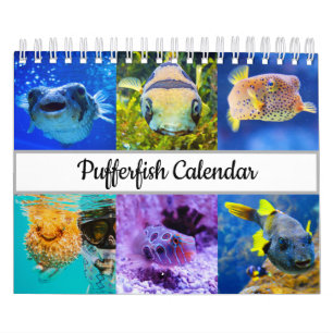 Calendario de pufferfish