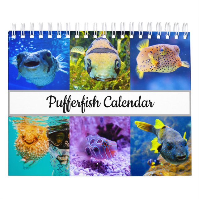 Calendario de pufferfish (Tapa)