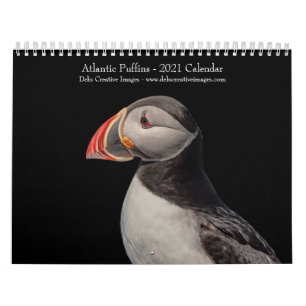 Calendario de Puffins Atlánticos 2021