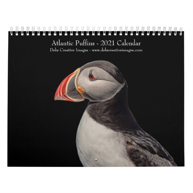 Calendario de Puffins Atlánticos 2021 (Tapa)