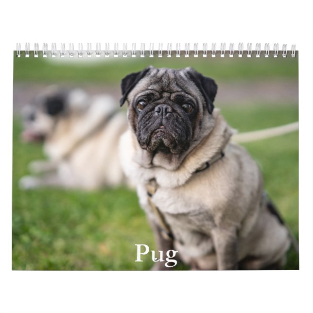 Calendario de pug (Tapa)