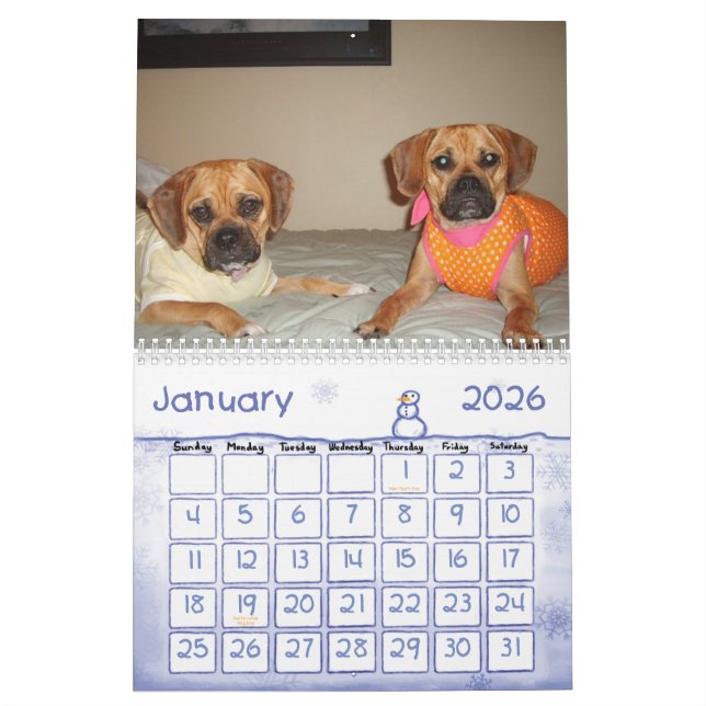 Calendario de Puggle (Jan 2026)