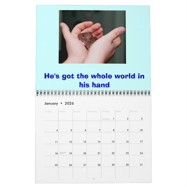 Calendario de raciones (Jan 2026)