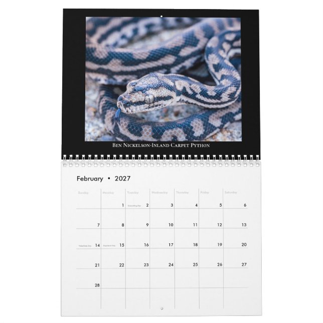 Calendario de radio de Morelia Python 2025 (Feb 2027)