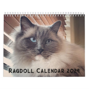 Calendario de ragdoll