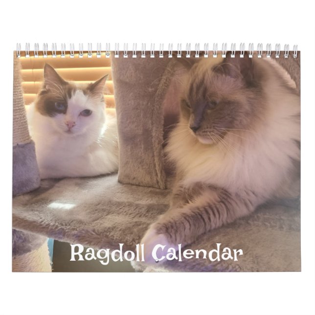 Calendario de ragdoll (Tapa)