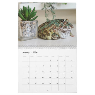 Calendario de Rana Pacman Blobbi