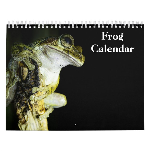 calendario de ranas 2027 (Tapa)