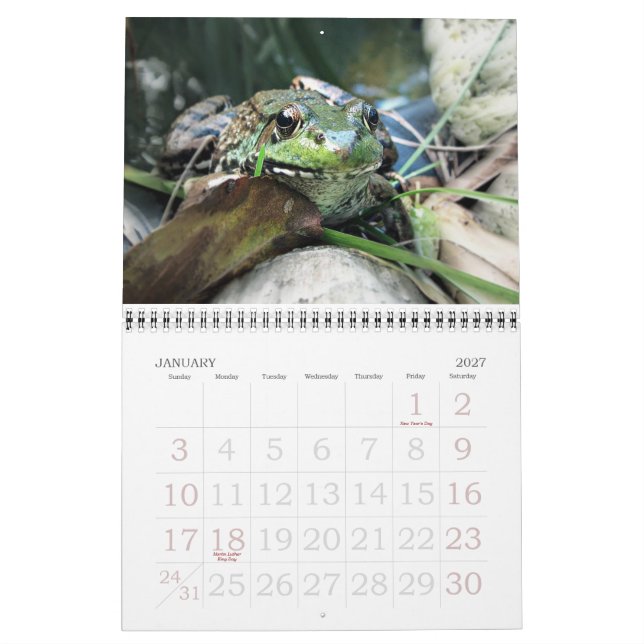 Calendario de ranas de 2015 (Jan 2027)