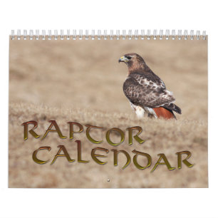 Calendario de Raptor