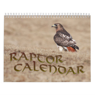 Calendario de Raptor