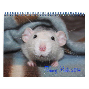 Calendario de ratas de moda 2014
