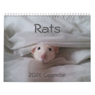 Calendario de ratas Mascotas 2025