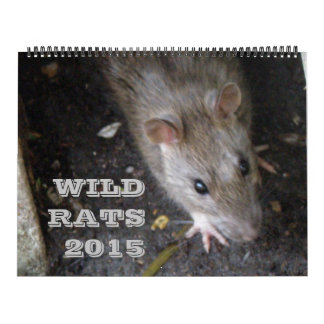 Calendario de ratas salvajes 2015