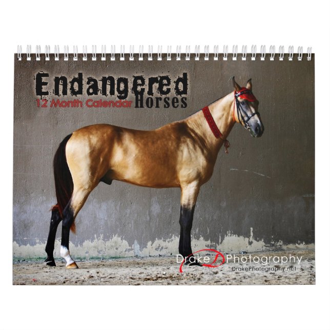 Calendario de razas de caballos en peligro (Tapa)