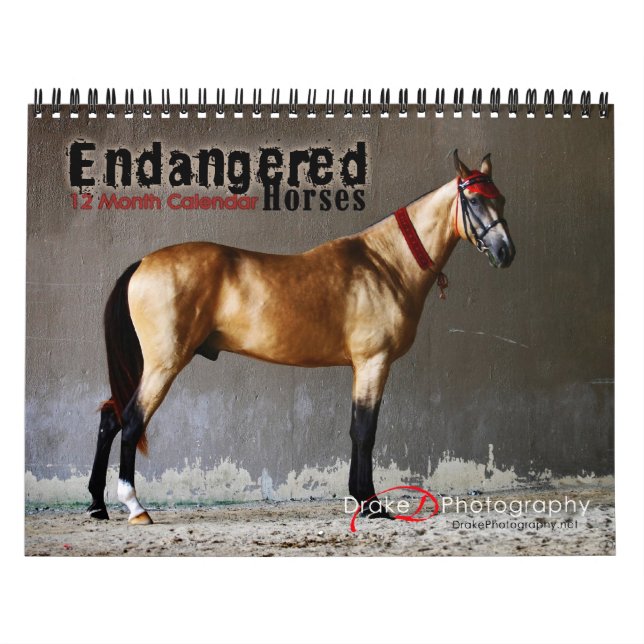 Calendario de razas de caballos en peligro de exti (Tapa)