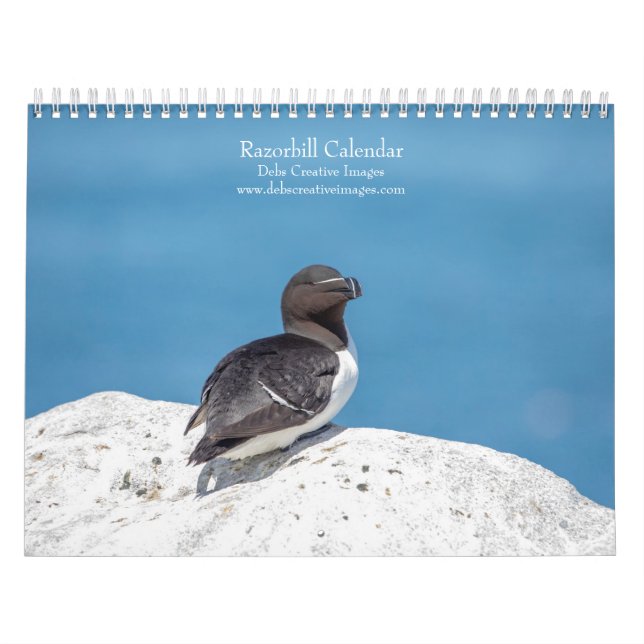 Calendario de Razorbill 2026 (Tapa)
