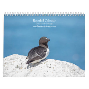Calendario de Razorbill 2026