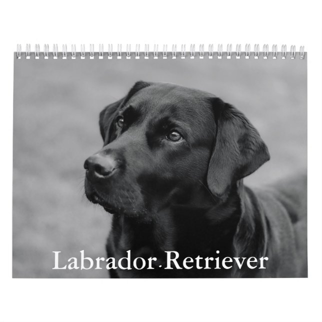 Calendario de recuperación de Labrador (Tapa)