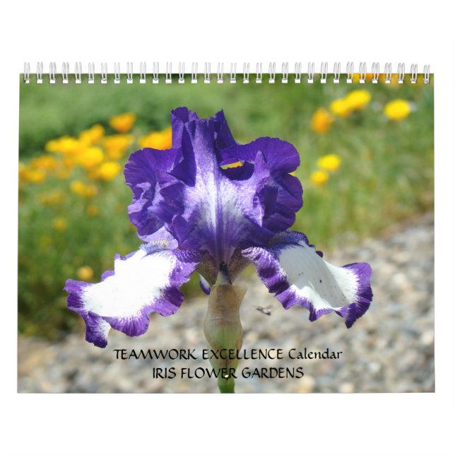 CALENDARIO DE REGALO DE OFFICE Iris Flowers Trabaj (Tapa)