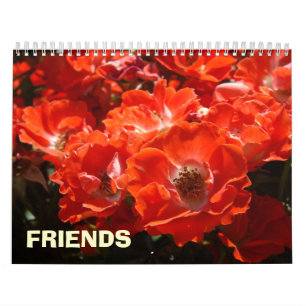 Calendario de regalos de FRIENDS Fiesta Rosa Rosas