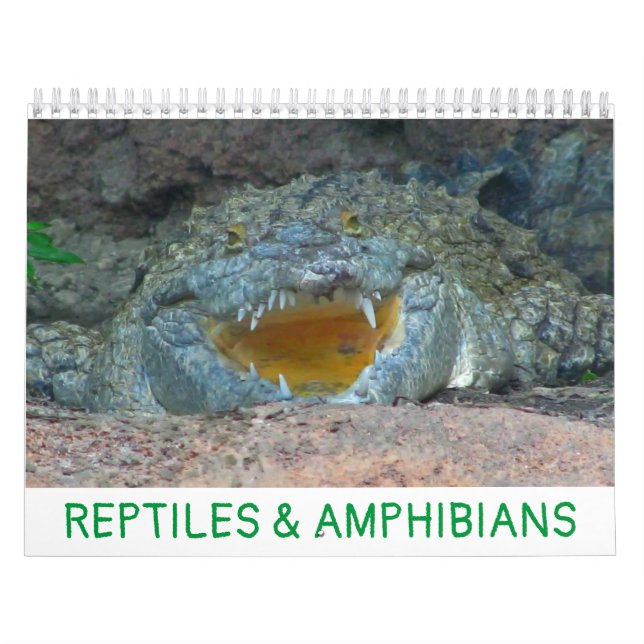 Calendario de reptiles y anfibios (Tapa)