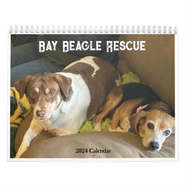Calendario de Rescate de Beagle de Bay 2024 (Tapa)