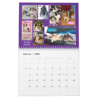 Calendario de Rescate de Estantes de Minnesota 202