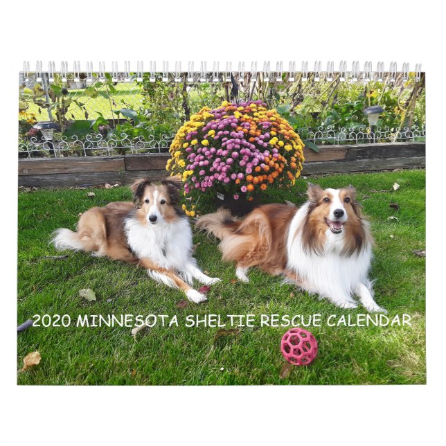 CALENDARIO DE RESCATE DE MINNESOTA SHELTIE 2020 (Tapa)