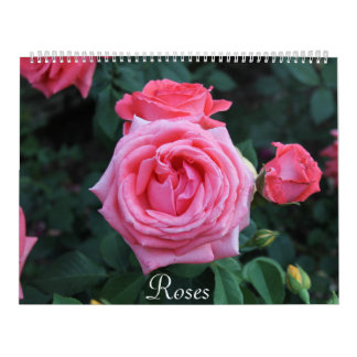 Calendario de retrato de rosas