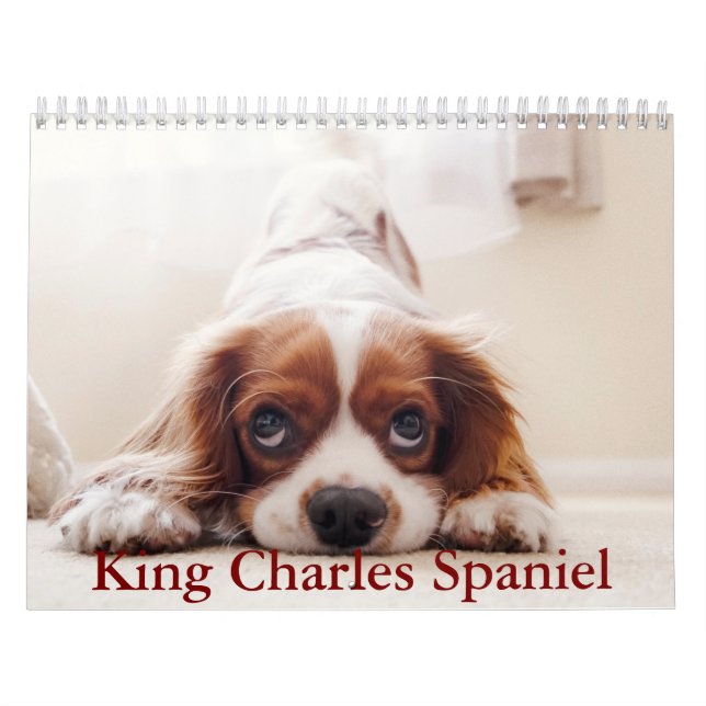 Calendario de Rey Charles Spaniel (Tapa)