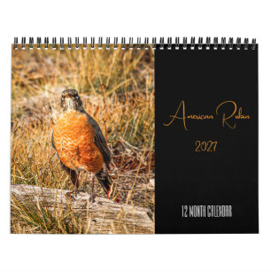 Calendario de Robin Americano 2027