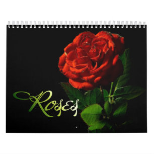Calendario de rosas 2013