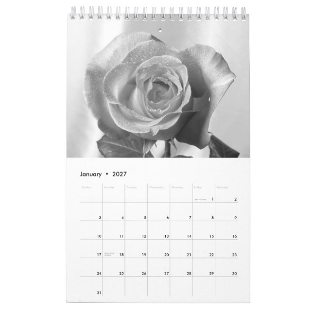 Calendario de Rosas 2015 -de vuelta en el tiempo (Jan 2027)